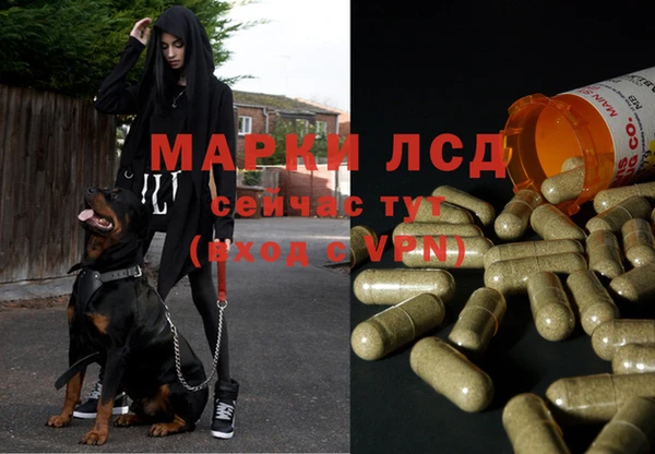 трава Алексеевка