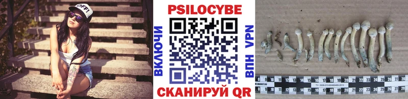 Галлюциногенные грибы прущие грибы  закладка  Красный Кут 